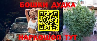 ешки Будённовск