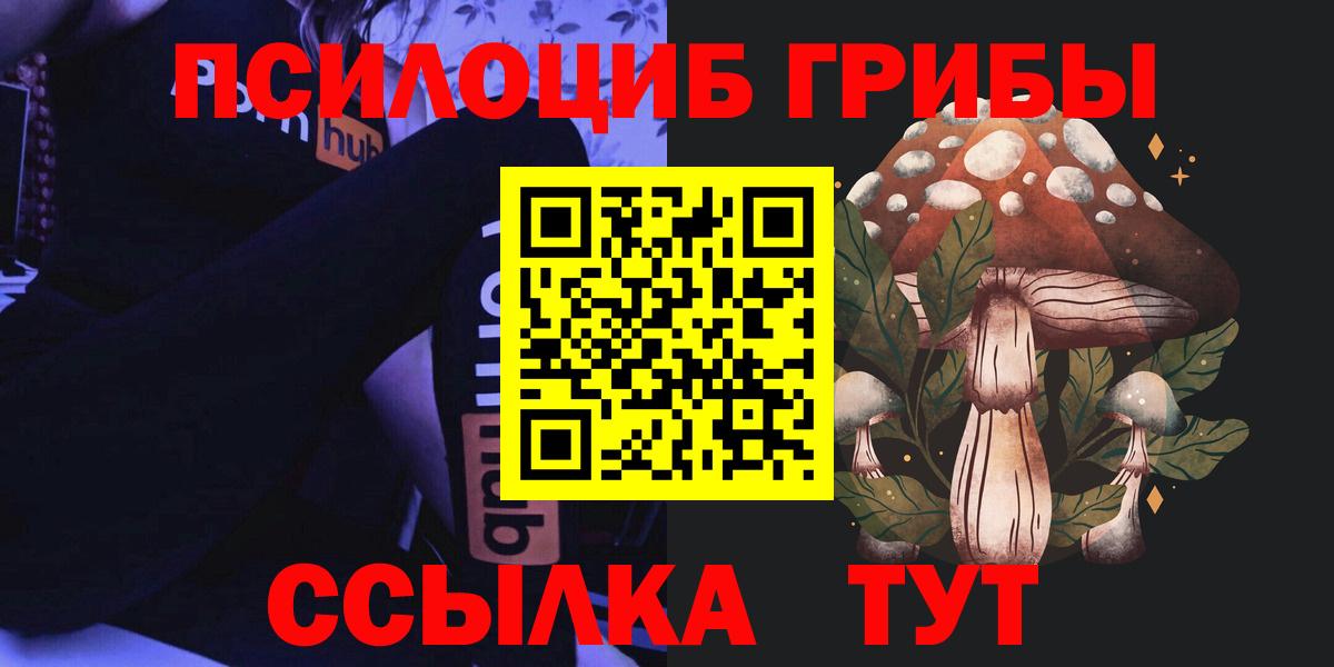 Чапаевск  Псилоцибиновые грибы Psilocybe  где купить   Вход с VPN 